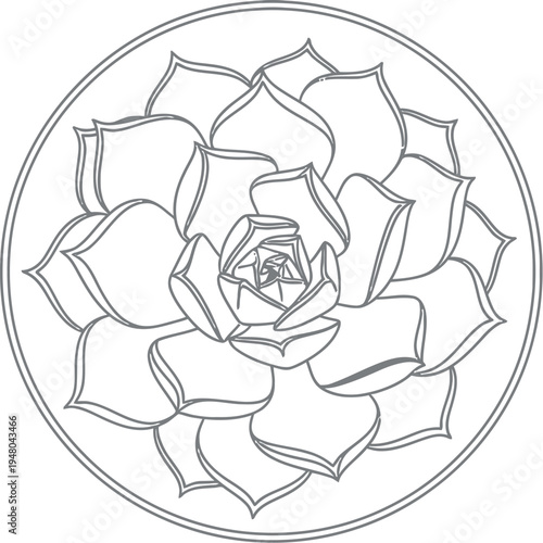 Simple line art illustration of a beautiful succulent plant featuring layered petals within a circular border design