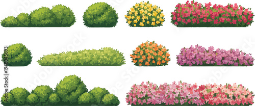 Garden bush and colorful flower hedge vector set landscaping shrubs plants botanical nature illustration isolated design collection