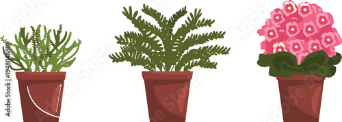 Vector Illustration Set Featuring Three Decorative Potted Houseplants Including Lush Green Ferns and a Vibrant Blooming Pink Flower Plant Isolated on a Clean White Background