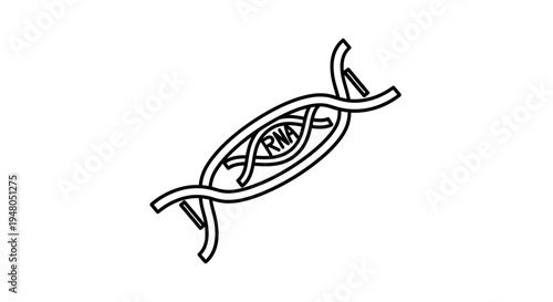 RNA molecule structure, genetic material, scientific research, biology concept, medical science