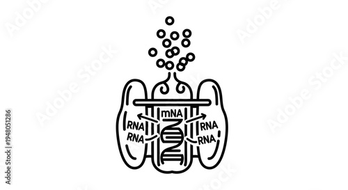 Ribosome protein synthesis translation mRNA genetic code biology molecular biology