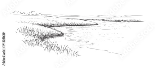 Of a marshy riverbank with reeds and distant hills grass