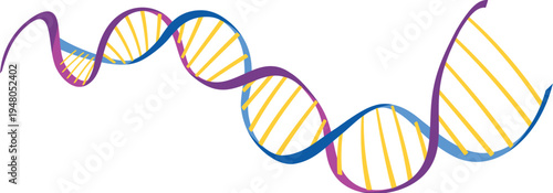 3d dna strand illustration for medical and genetic research vector