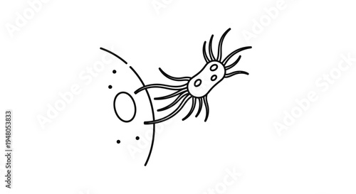 Microscopic bacterium approaching a cell, scientific illustration