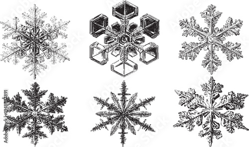 Detailed snowflake crystals vector illustration set. Winter weather icons.