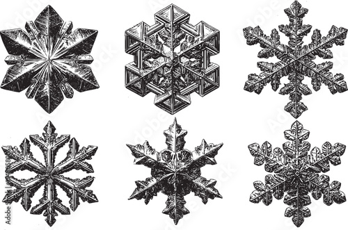 Detailed snowflake crystals vector illustration set. Winter weather icons.