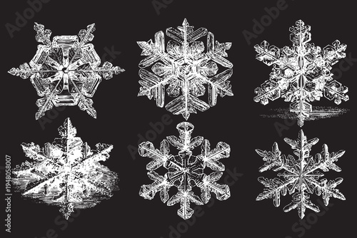 Detailed snowflake crystals vector illustration set. Winter weather icons.