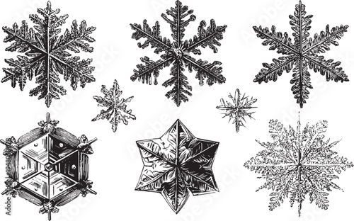 Detailed snowflake crystals vector illustration set. Winter weather icons.