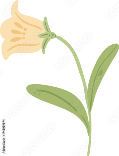 Yellow Garden Flower