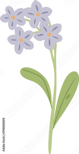 Small Blue Wildflower Botanical Illustration