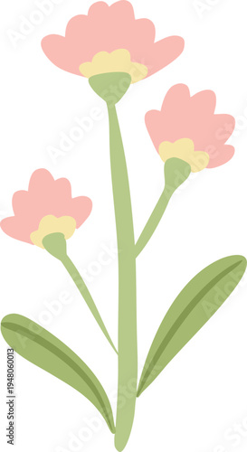 Minimal Pink Blossom Flower Illustration