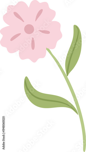 Cute Pink Carnation Floral Illustration