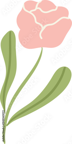 Soft Peach Blossom Botanical Illustration