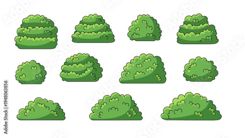 A collection of green bushes arranged in rows on a plain background.