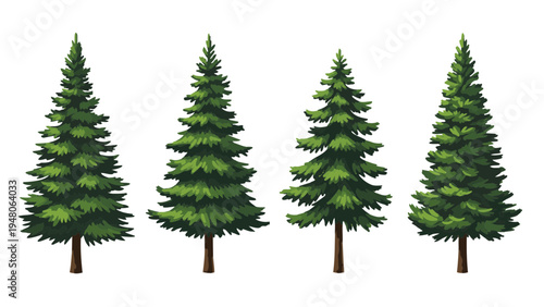Four green pine trees stand tall in a scenic outdoor setting with trunks and branches