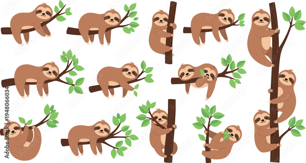 Fototapeta premium Cute sloth cartoon animal vector set adorable jungle wildlife characters hanging and climbing tree branches illustration collection