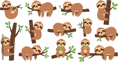 Cute sloth cartoon character collection vector set adorable lazy animal hanging on tree branches jungle wildlife illustration