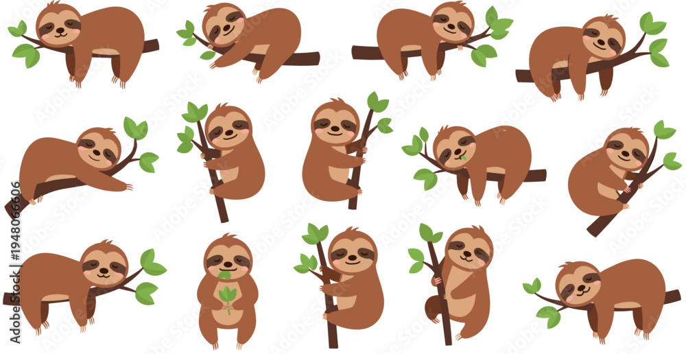 Fototapeta premium Cute sloth cartoon vector collection adorable lazy jungle animal characters hanging on tree branches wildlife illustration set