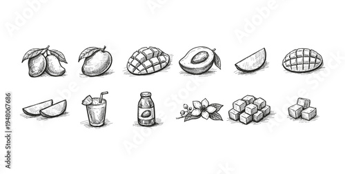 Hand-drawn collection of mango fruits, slices, juice, and cubes in sketch style