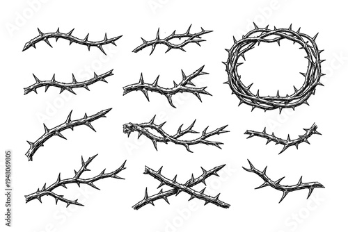 Collection of hand-drawn thorny branches and a crown of thorns illustration