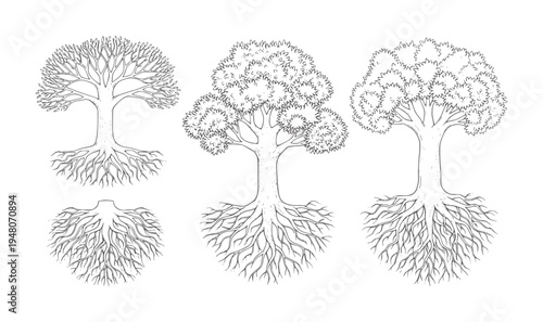 Hand drawn trees with root systems white roots nature organic plant