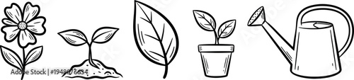 Plant growth stages and gardening tools illustration
