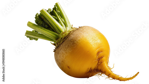 Foto Isolated fresh yellow turnip root vegetable with green leaves, healthy organic f