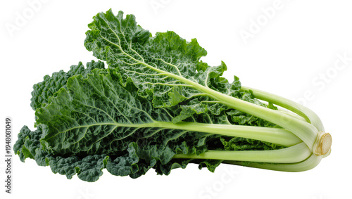 Quadro su tela Isolated fresh green curly kale leaves, healthy organic superfood vegetable for cooking