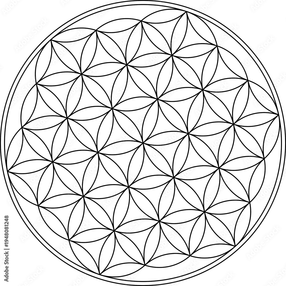 Fototapeta premium Flower of Life Sacred Geometry Mandala Circular Line Pattern
