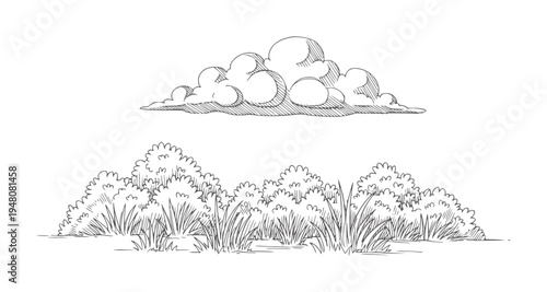 Hand drawn of fluffy clouds above grassy bushes nature