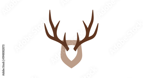 Deer Antlers on Wall.