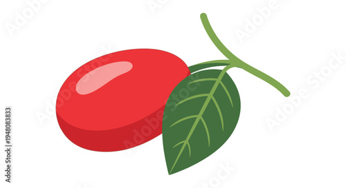 Red fruit with green leaf stem.