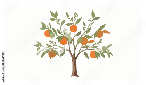 Orange fruit tree with blossoms botanical watercolor vector illustration isolated on white