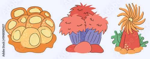 Colorful Sea Coral Anemone Underwater Marine Life Set