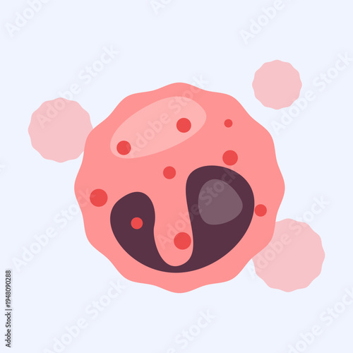 Neutrophil Blood Cell and Bacteria