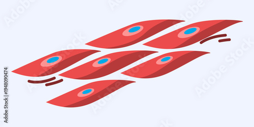 Smooth Muscle Cells Microscopic View
