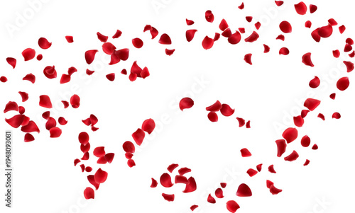 Vibrant red rose petals floating along a curved line. Romantic celebration wedding or party