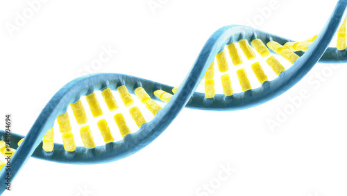 Tableau sur toile Isolated 3D render of a vibrant blue and yellow DNA double helix, symbolizing genetics and life