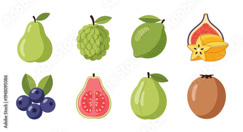 Various colorful fruit illustrations on white