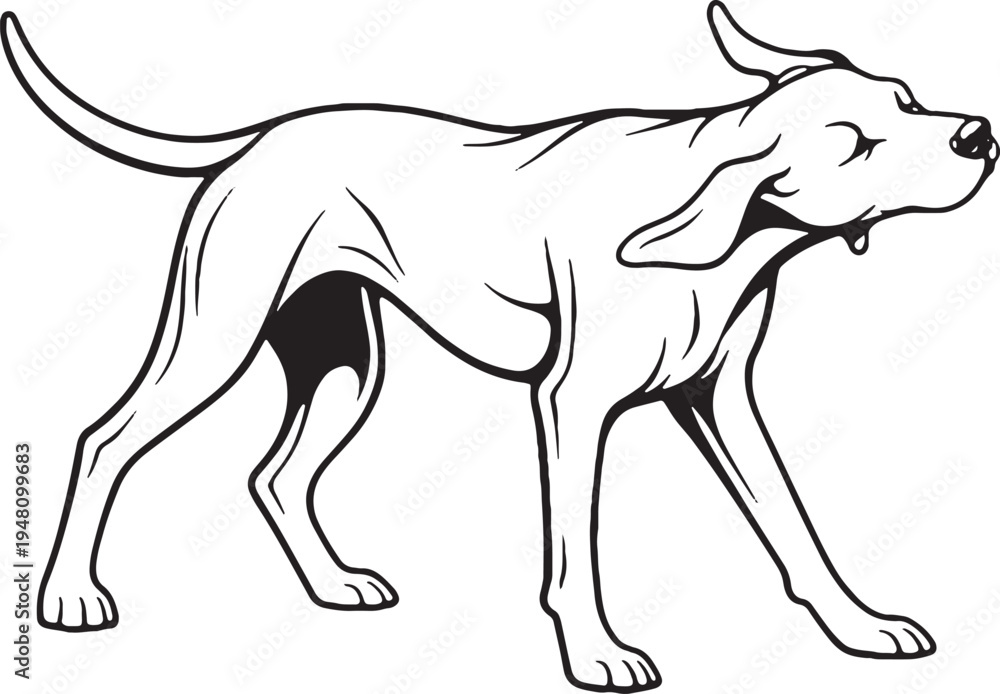 Obraz premium Weimaraner Full Body Shake Three Quarter View Black and White Line Art Illustration