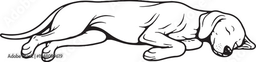 Weimaraner Sleeping on Side Relaxed Pose Black and White Line Art Illustration