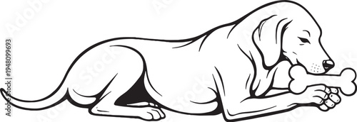 Weimaraner Chewing Bone Lying Down Side View Black and White Line Art Illustration