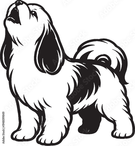 Quadro su tela Shih Tzu Howling Head Up Black and White Line Art Vector Illustration