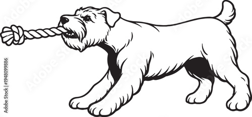 Miniature Schnauzer Tugging Rope Pull Stance Black and White Line Art Illustration