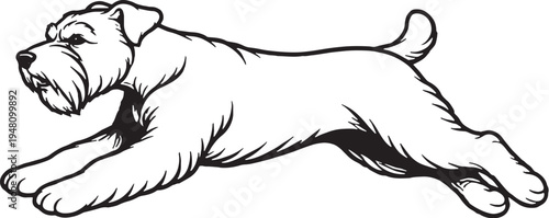 Miniature Schnauzer Running Sprint Side View Black and White Line Art Illustration