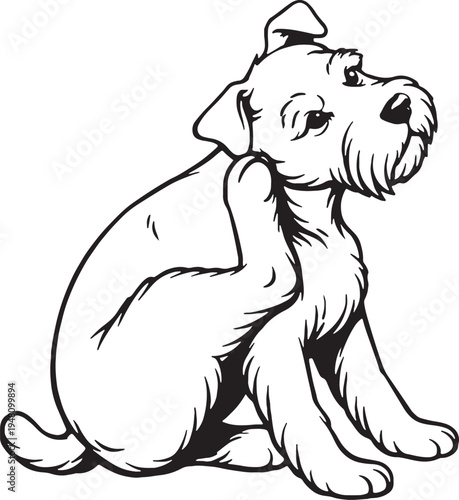 Miniature Schnauzer Scratching Ear Sitting Pose Black and White Line Art Illustration