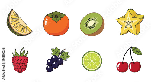 Assorted colorful fruits illustration