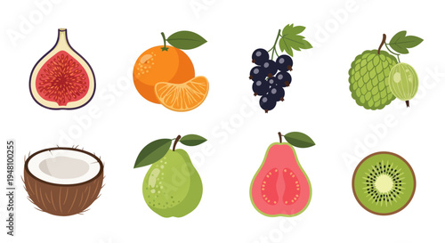 Assorted colorful fruits illustration