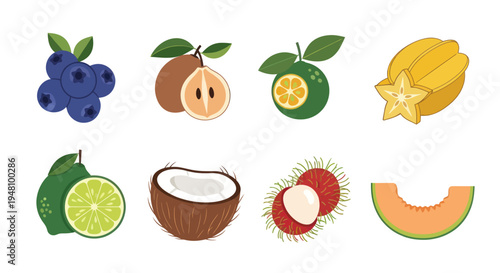 Assorted colorful fruits illustration on white