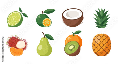 Assorted tropical fruit collection illustration